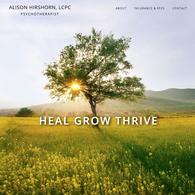 Alison Hirshorn, LCPC Psychotherapist